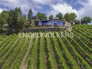 Haus in Muxika. Exclusiva bodega de txakoli en el país vasco con oportunidad de