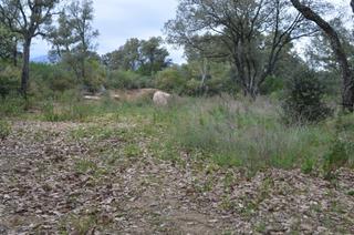 Terreny residencial a Sant Celoni. Terreno en boscos del montnegre