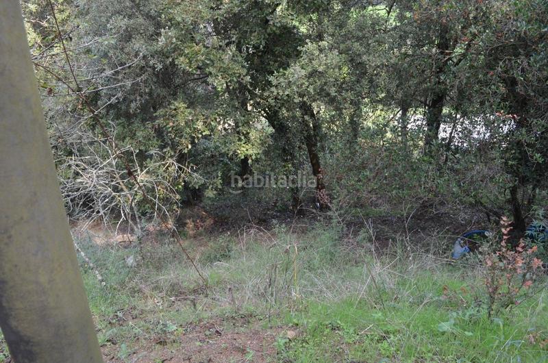 Foto 05fc567a-4f76-4f75-85ce-ae0caef8b6c8. Terreno residenziale in Sant Celoni