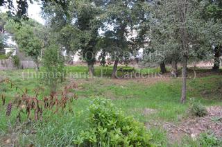 Terreny residencial a Riells i Viabrea. Terreno en buena zona