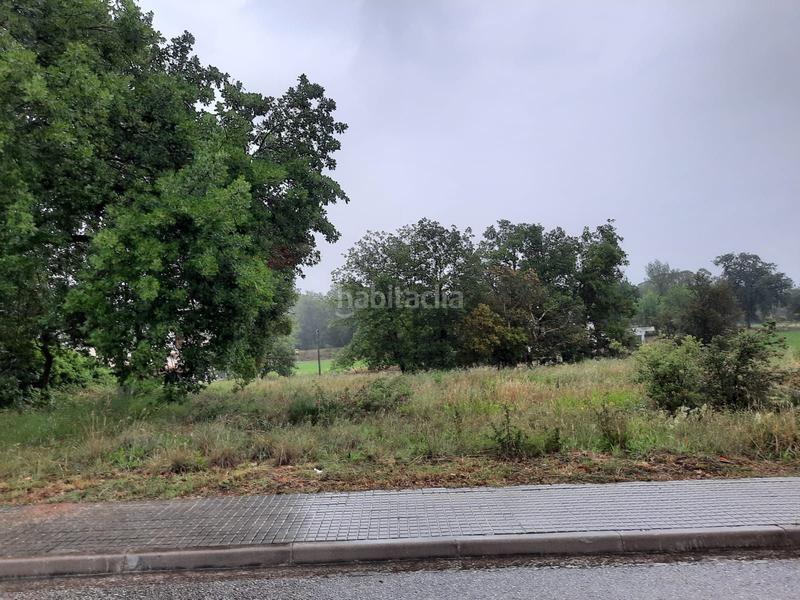 Foto 3c247b98-b83d-48ad-bf8d-3762c86e2484. Terrain résidentiel dans Sant Feliu de Buixalleu