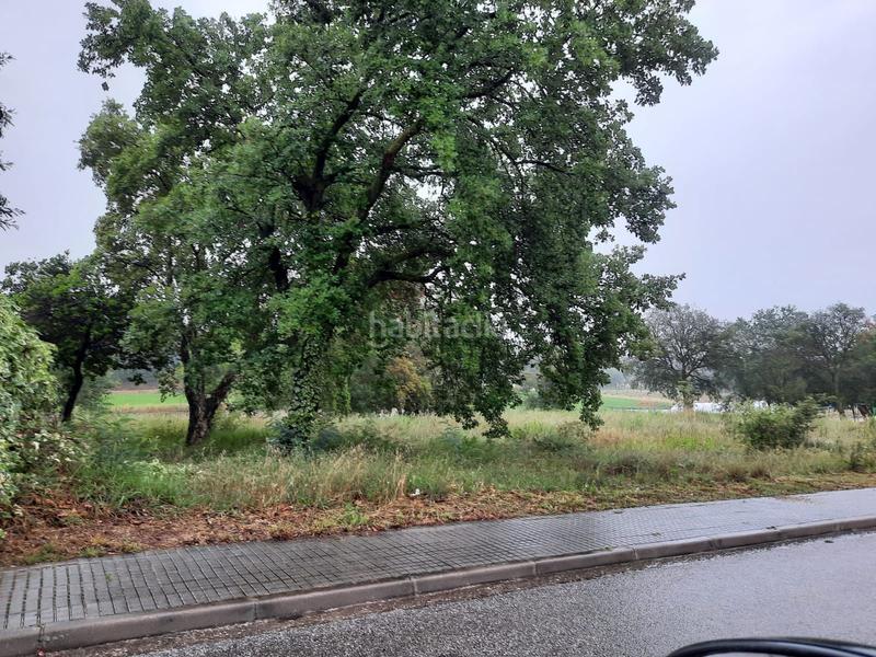 Foto d09c5973-9e3e-4bb1-8cc8-a936c0c2fb27. Terrain résidentiel dans Sant Feliu de Buixalleu