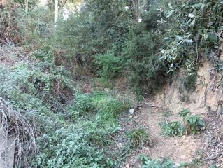 Residential Plot  Avinguda can coll