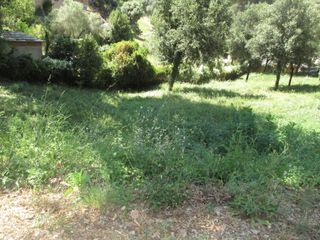 Terreny residencial  Carrer del pallars. Terreno  muy soleado en la urb. can bosch