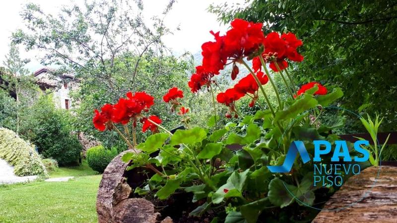 Foto edfebeb2-9703-40b1-ab78-6b3cad1cac14. Casa próxima a potes impresionante casona lebaniega en Camaleño