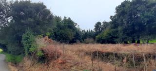 Terreny residencial a Noval. Finca urbana en venta en escalante.