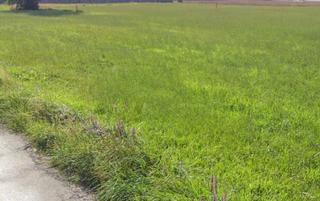 Mas à Arnuero. Finca rúst. en venta en arnuero.