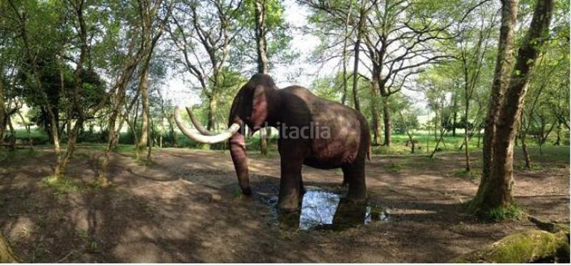 Foto 689102c4-06ac-4d78-891d-29f86990b4a1. Maison dans Rasines