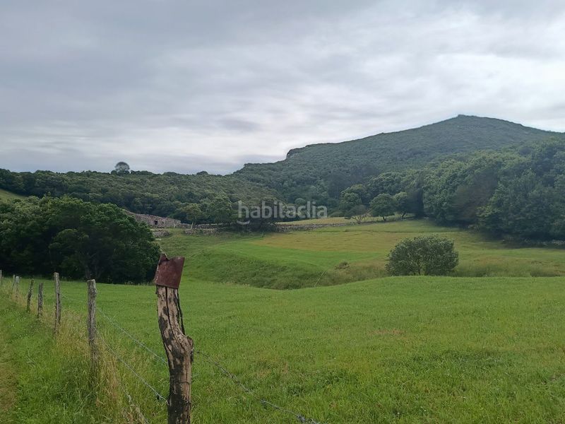 Foto 468d278f-732e-46a8-a4e1-7ea0428c0774. Masia a dueso a Santoña