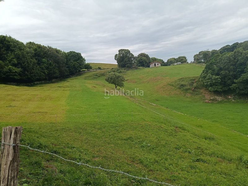 Foto 7eb3b230-40ce-48c0-9f7f-dd67c40891de. Masia a dueso a Santoña