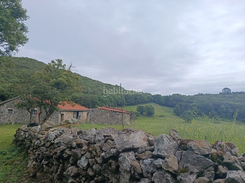 Foto 8f3b3540-3f4f-4e15-8d14-a609b805ab7b. Masia a dueso a Santoña
