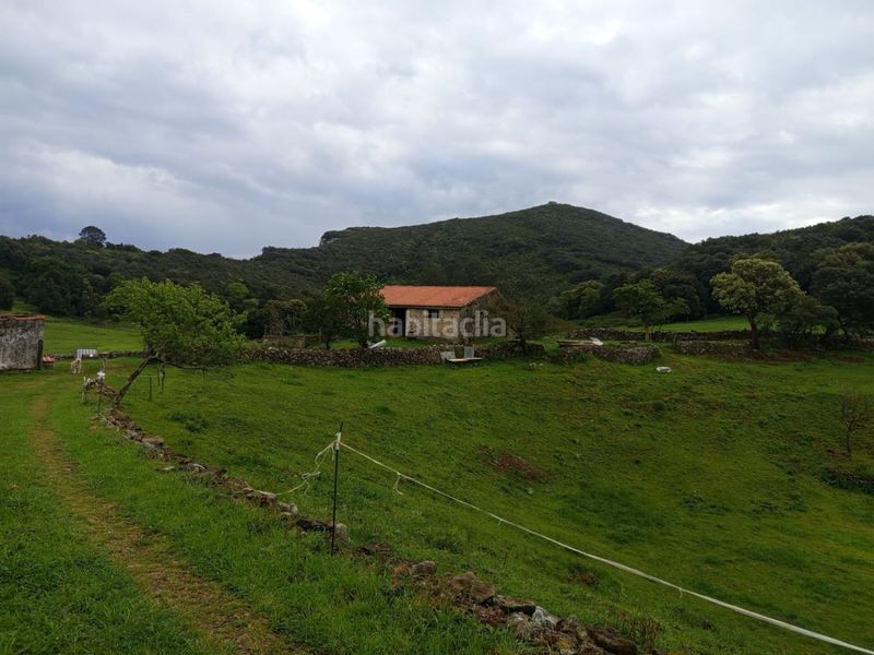 Foto e185a7a8-6c53-451e-8526-196b4da671c7. Masia a dueso a Santoña