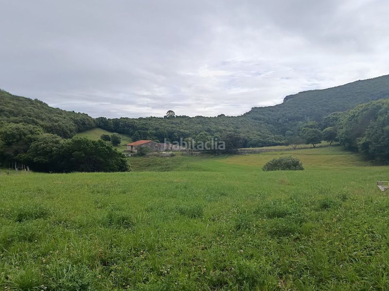 Foto eb9516b7-a797-48f3-b9f9-ef7871141e2e. Masia a dueso a Santoña