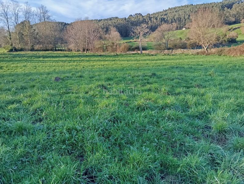 Foto a210d52f-6661-4b06-9da3-d882c443521c. Terreno residenziale in Hazas de Cestoi 128 in Hazas de Cesto