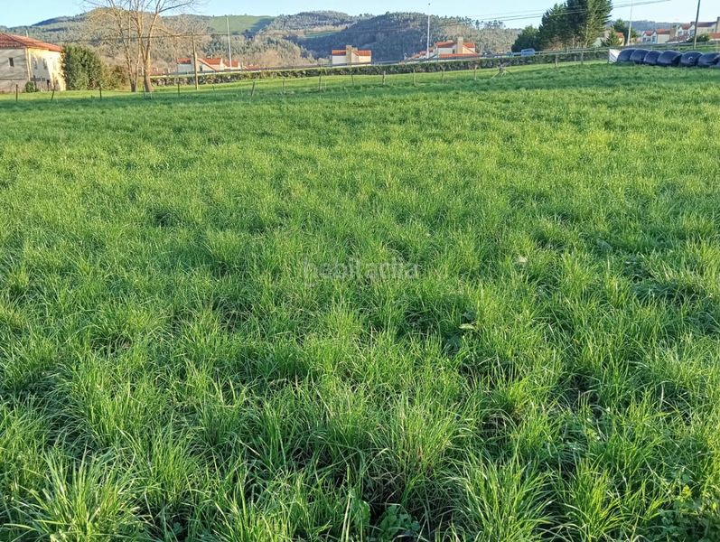 Foto a71393d5-53a4-4753-8148-bc1217db4ec5. Terreno residenziale in Hazas de Cestoi 128 in Hazas de Cesto