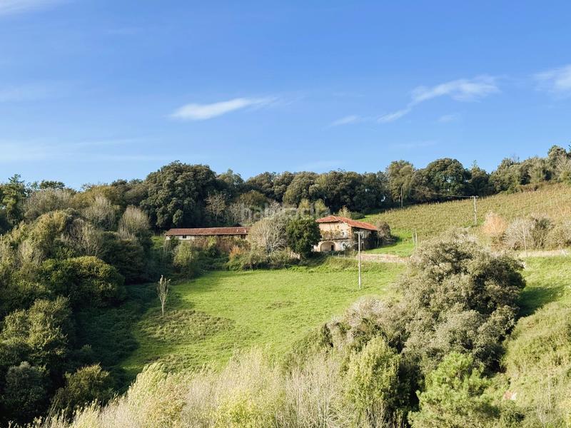 Foto db8ca817-583b-43ff-95c3-05a412b0b222. Mas dans Larrabetzu