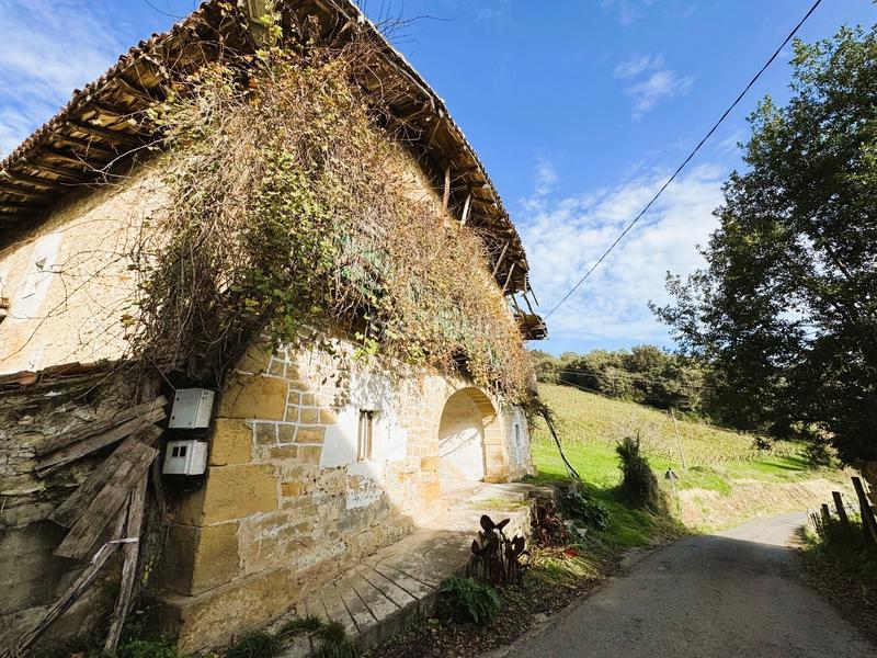 Foto e18b4776-26cd-4199-b4c6-1fee18f11467. Mas dans Larrabetzu