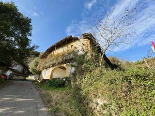 Masia a Larrabetzu. Caserio situado a 5 minutos de larrabetzu. techo en renovación.