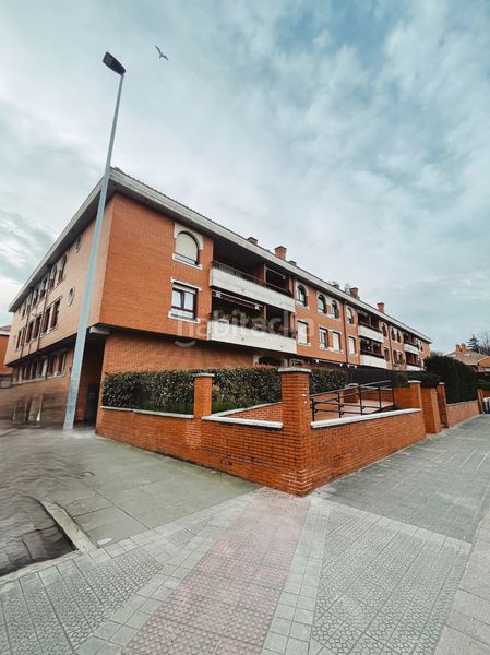 Foto 0942061c-280d-45fb-806e-650a0f51224a. Pis amb calefacció a Artatza-Pinueta-Pinosolo Leioa