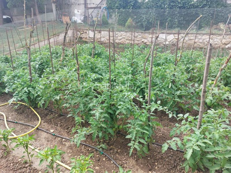 Foto 957ab545-15d6-4001-b023-1d65b5caf67c. Haus mit heizung parking pool in Condado de Treviño