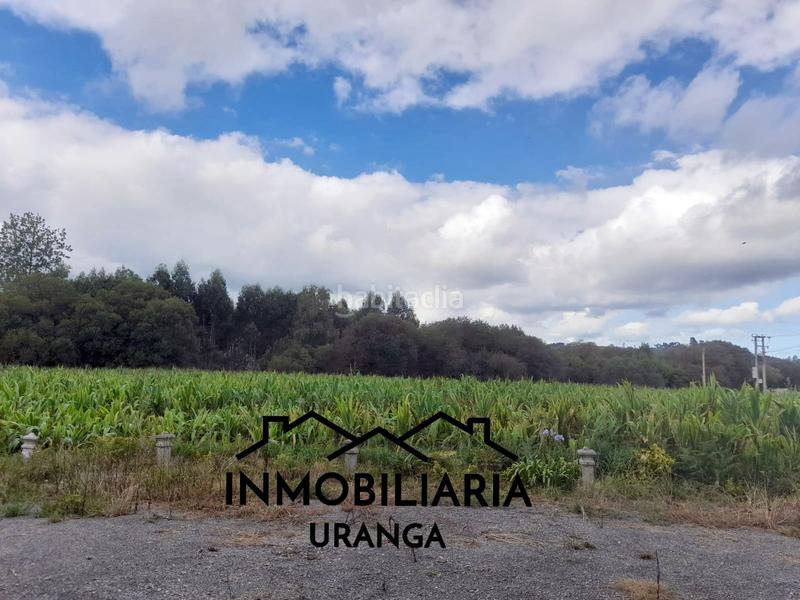 Foto 10a7765d-2421-4833-8e56-1655da7ac42d. Maison dans Bárcena de Cicero