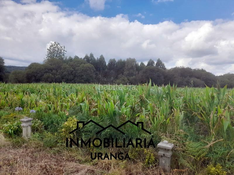 Foto f50beaef-1242-4b88-82f7-597b12d5f743. Maison dans Bárcena de Cicero