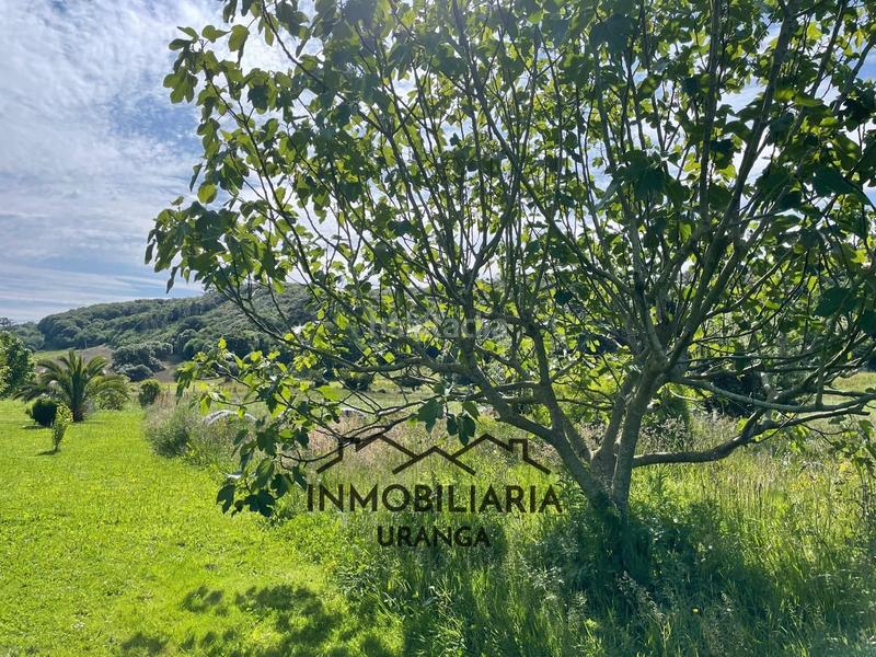 Foto d10a0e50-70fc-44fa-b2cb-6e2303a8eb14. Casa a Arnuero