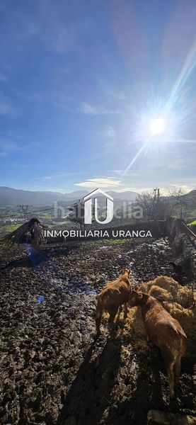 Foto e62dfad0-10af-4d85-a4f4-2a82329966df. Casa a Voto