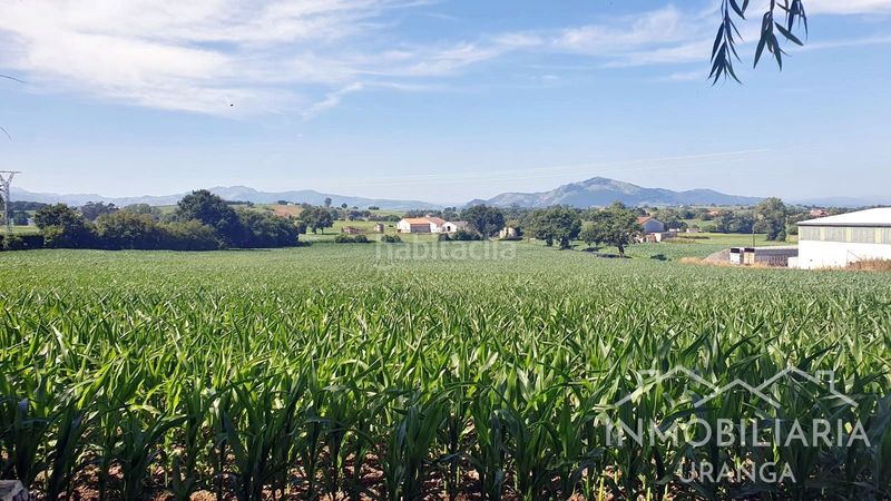 Foto bb327757-f79c-41fb-8ee0-d7befc881737. Chalet casona montañesa de piedra con 5.000 m de terreno ideal para inversión o negocio rural en Ribamontán al Mar