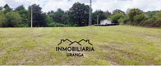 Terreny residencial a Cereceda