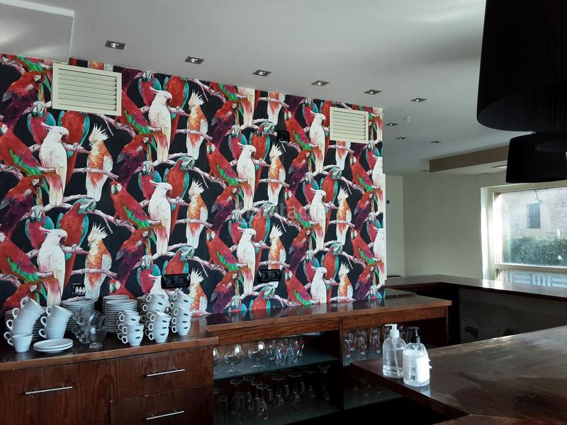 Foto 2c13f0f4-b236-449d-92e9-ba20c3e04c1f. Lloguer local comercial a Orozko