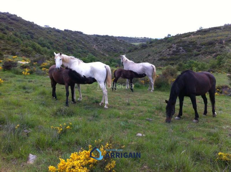 Foto 588a9ff9-04ec-40a3-be29-61d4ade89067. Xalet amb aparcament a Arroyo de la Vega La Moraleja