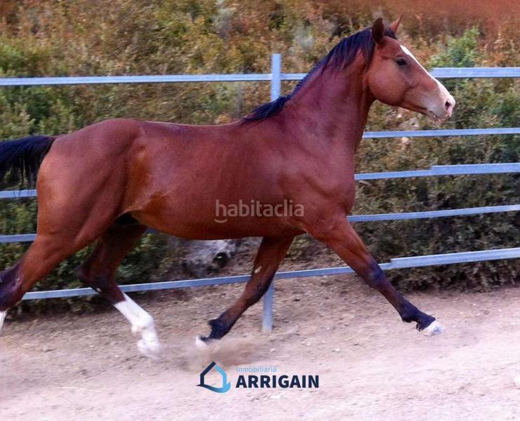 Foto 8e887f36-6cba-4893-8d4a-2ce40febd289. Xalet amb aparcament a Arroyo de la Vega La Moraleja