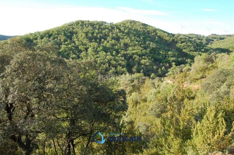 Foto 902aabcd-de5f-4074-96d0-e63073d06555. Xalet amb aparcament a Arroyo de la Vega La Moraleja