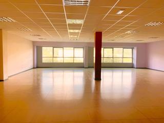 Büro  Oria etorbidea