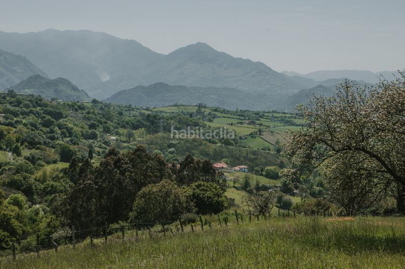 Foto 081006d2-ea25-4f89-a660-7f6e6b5128f7. Terreno residenziale in cruces - paderni in Parroquias Sur - La Manjoya Oviedo