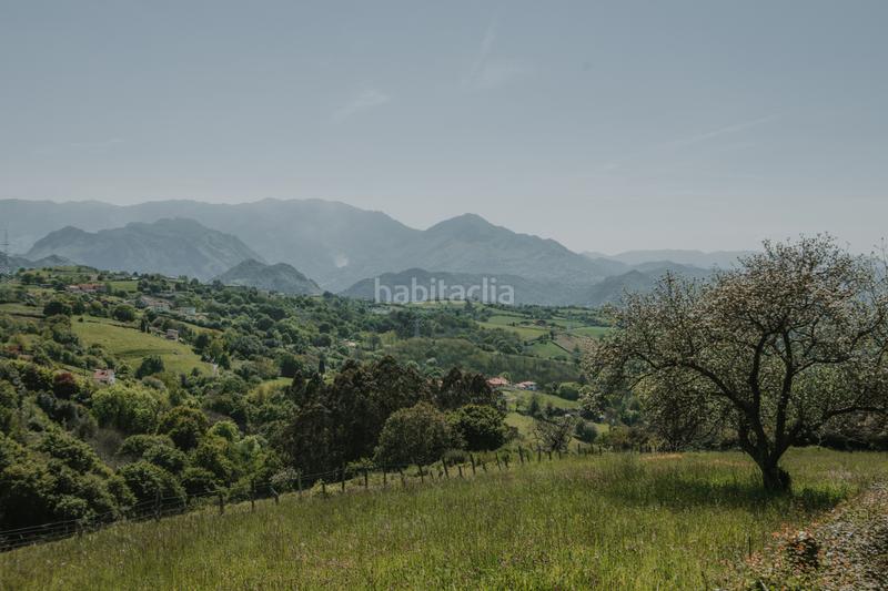 Foto 26acd2fb-b47f-4d5e-aaa4-a4e373885e65. Terreno residenziale in cruces - paderni in Parroquias Sur - La Manjoya Oviedo