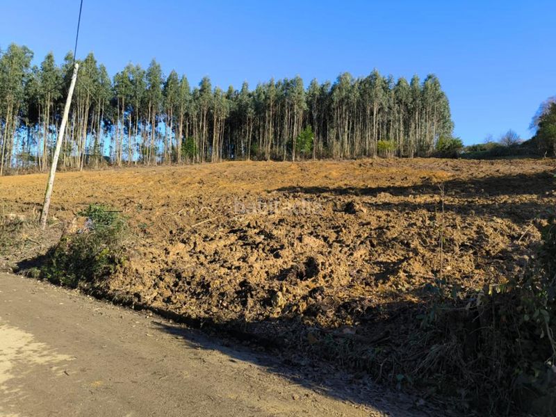 Foto ab956993-de1c-4141-b808-659848089c1f. Finca rústica a Bernueces Gijón
