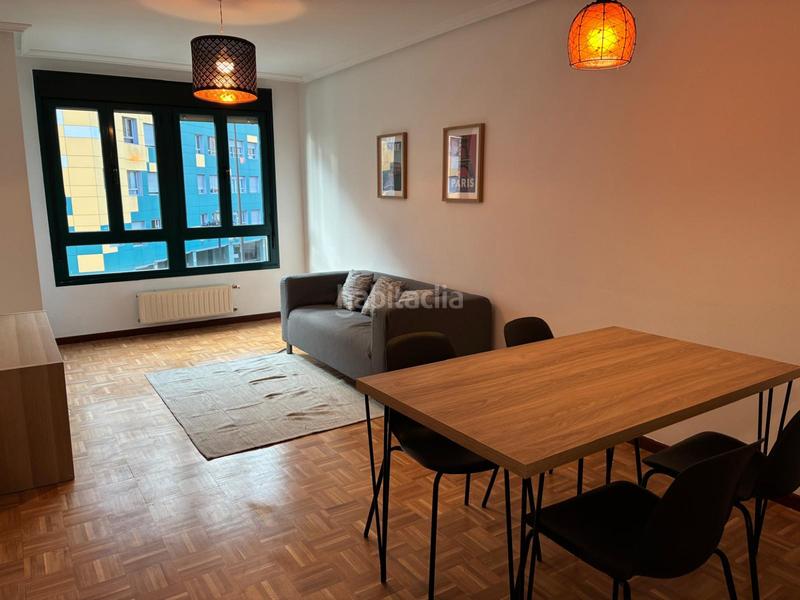 Foto efbbfe28-5973-414d-97f5-0121bd320687. Alquiler piso en Oviedo - plaza europa 1 alquiler huca los prados, amplio apartamento, amueblado a estrenar, completamente exterior, soleado, segunda planta, con trastero en Oviedo