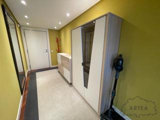 Location Appartement  Euskadi plaza. Piso en alquiler, plaza euskadi