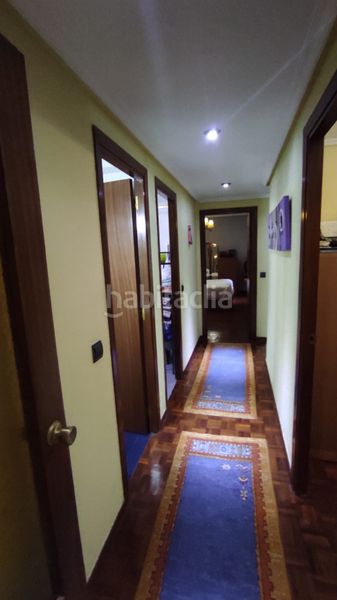 Foto bab46704-f2be-4a17-a5d5-6b76ebb1ad68. Pis a Berriz