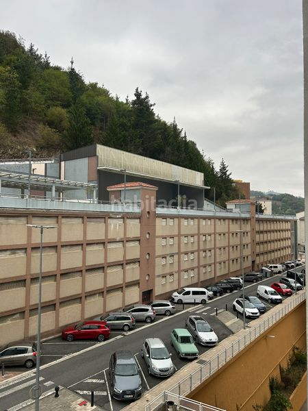 Foto 45ae81b0-b866-43dd-8a6f-37bfdc2fee59. Pis a Eibar