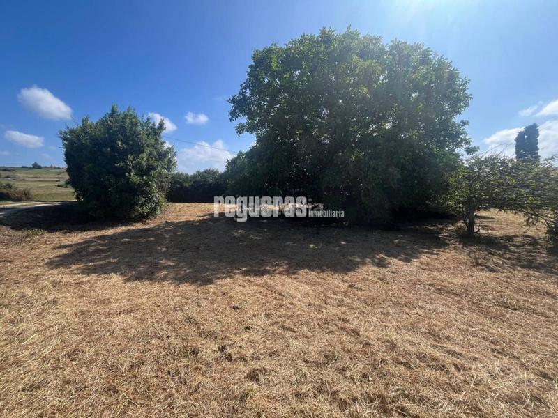 Foto 46df710a-267a-42a8-97ad-2a56b449b072. Masia a Bocines-Nembro-Cardo Gozón