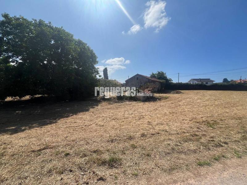 Foto 5db228b0-40cd-4b73-a790-311bbfe26559. Masia a Bocines-Nembro-Cardo Gozón