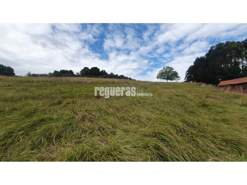 Foto 9775307e-98da-4849-b906-7b5063ff900a. Alquiler terreno residencial finca edificable en Huerces 1.592 m con proyecto visado en Gijón