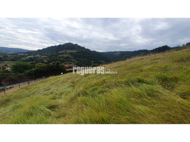 Foto b2c844b2-204e-48a7-9865-86b7b1ef23a1. Alquiler terreno residencial finca edificable en Huerces 1.592 m con proyecto visado en Gijón
