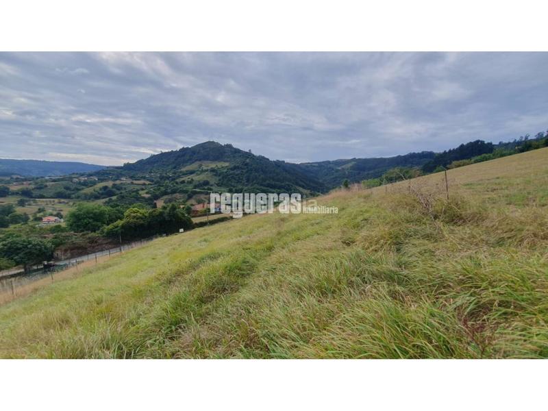 Foto c695375e-a543-49bd-904f-ee48a9402da5. Alquiler terreno residencial finca edificable en Huerces 1.592 m con proyecto visado en Gijón