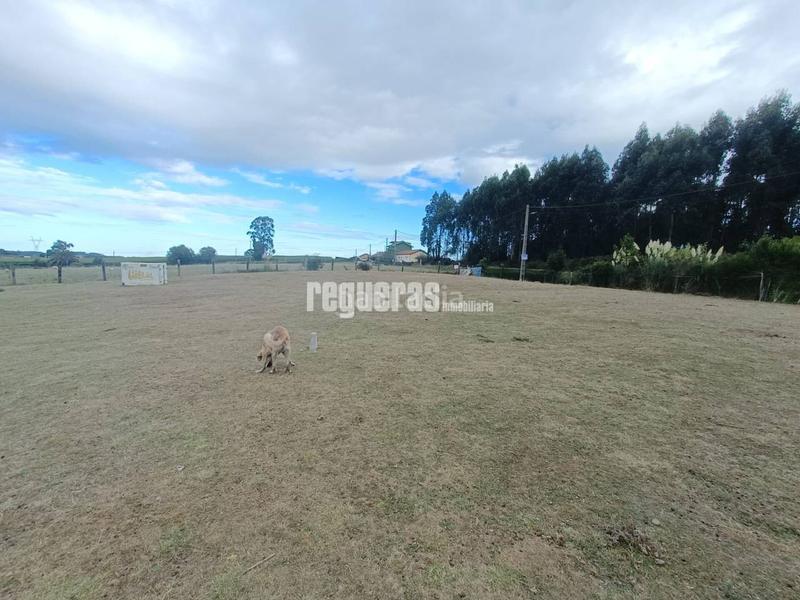 Foto 2bb66257-994d-41bc-ab42-adeefbf73d2d. Terreno residencial parcelas en venta en perdones gozon en Gozón