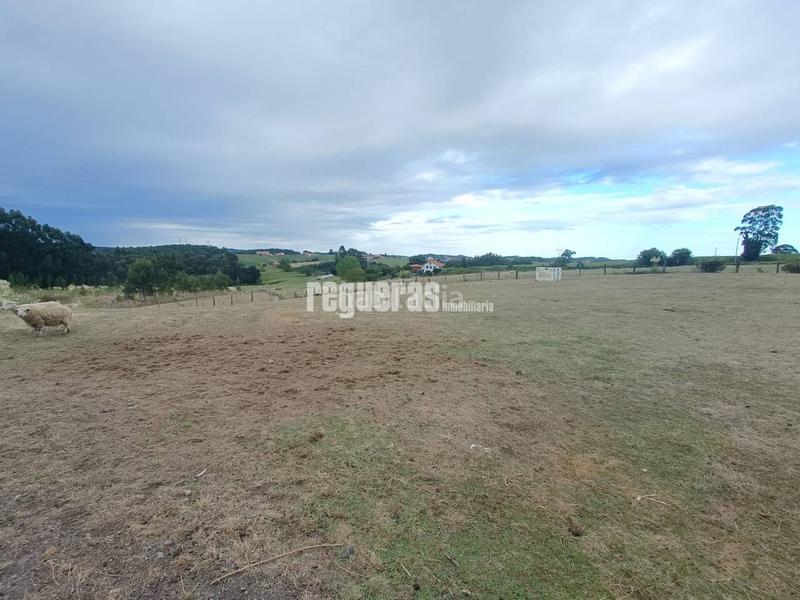 Foto 51b77a6b-a992-4e02-9b0e-92d0c82f7a28. Terreno residencial parcelas en venta en perdones gozon en Gozón