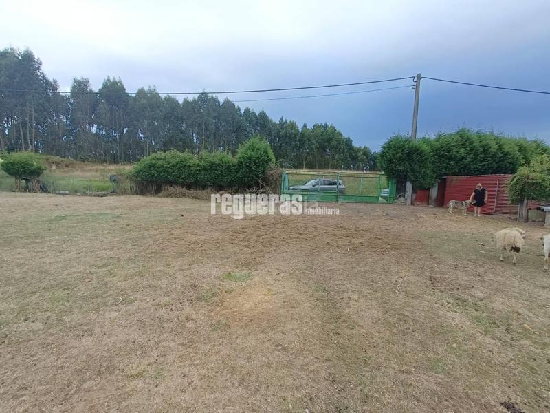 Foto e0e9a31e-39ab-457e-a4b9-1c20880b6f2f. Terreno residencial parcelas en venta en perdones gozon en Gozón